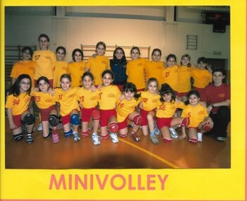 MINIVOLLEY